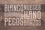 TEHAUS Typeface