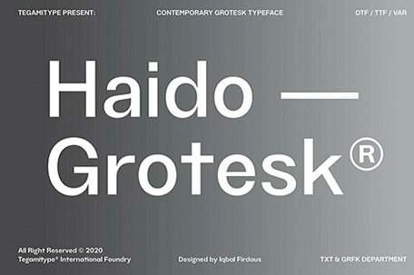 TG Haido Grotesk Font Family