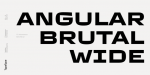 TT Autonomous Font Family