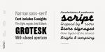 TT Backwards Font Family