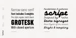 TT Backwards Font Family