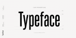 TT Bluescreens Font