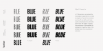 TT Bluescreens Font