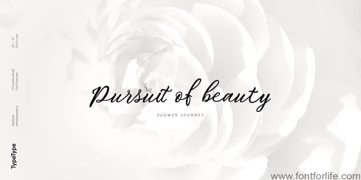 TT Lovelies Script Font