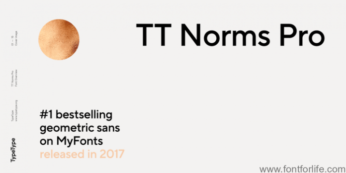 TT Norms Pro Font