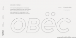 TT Norms Pro Font