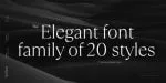 TT Ramillas Font Family