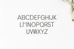 Tabner Sans Serif Typeface