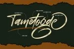 Tametogde Font