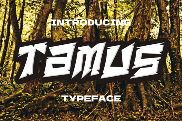 Tamus Display Font