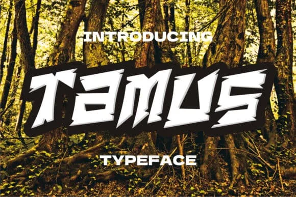 Tamus Display Font