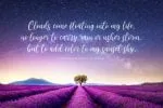 Teressia Script Font