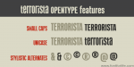 Terrorista Font