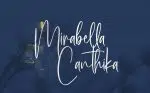 Canthikas - Signature Script Font