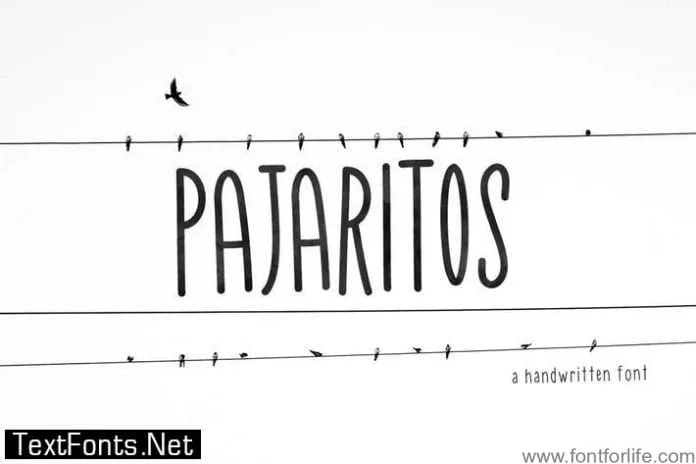 Pajaritos Handwritten Font
