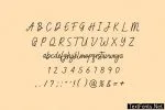 Rookie Fiesta Script Handwritten Font