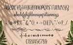 Bellefonte Font