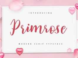 Primrose Font