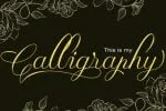 Thalita Font