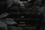 Thampholine Font