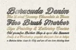 Thander Font