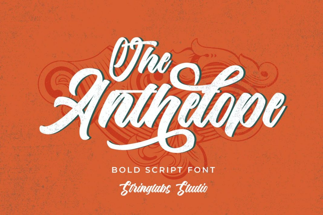 The Anthelope - Retro Bold Script Font