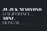 The Antonia Font