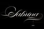 The Antter Script Font