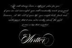 The Antter Script Font