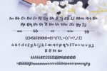 The Beauty Font