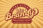 The Brandy Bold Retro Script