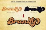 The Brandy Bold Retro Script