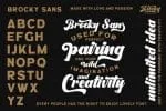 The Brocky Font