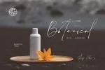 The Coastal - Luxury Handwritten Script Font
