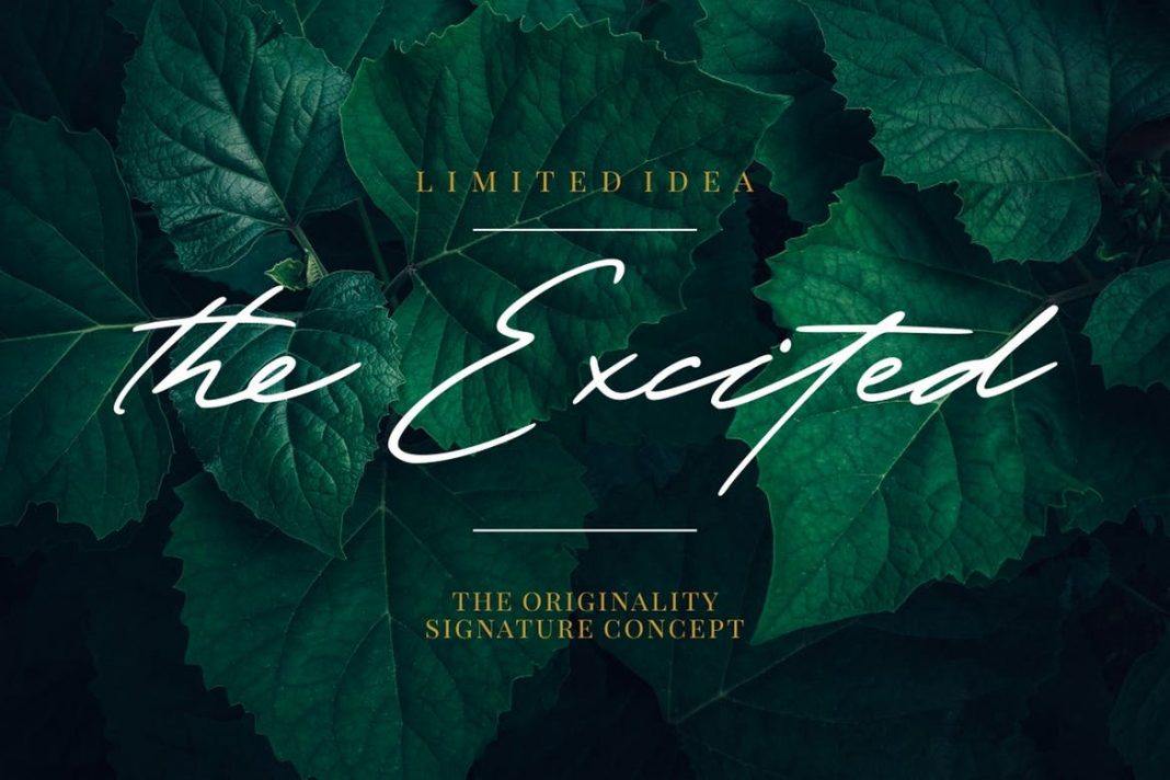 The Excited - Stylistic Signature Font