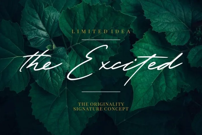 The Excited - Stylistic Signature Font
