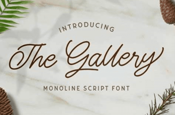 The Gallery Font
