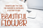 The Humble Font