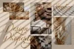 The Longlight Font