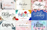 The Lovely Spring Font Bundle - Including 52 Premium Crafting Fonts