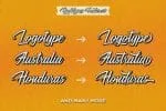 The Megatype Script Font