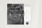 The Melsa - Modern Ligature Sans Font