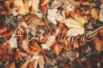 The Mood Font