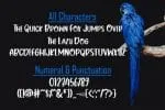 The Nutther Font