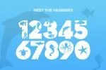 The Ocean Font