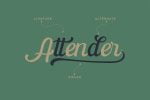 The Paiton Modern Script Font