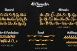 The Phamelo - Bold Script Font