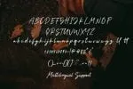 The Plumber Font