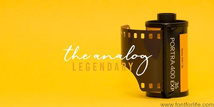 The Quiz Script