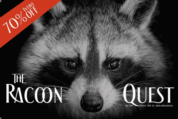 The Racoon Quest Font